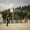 Group lessons 2