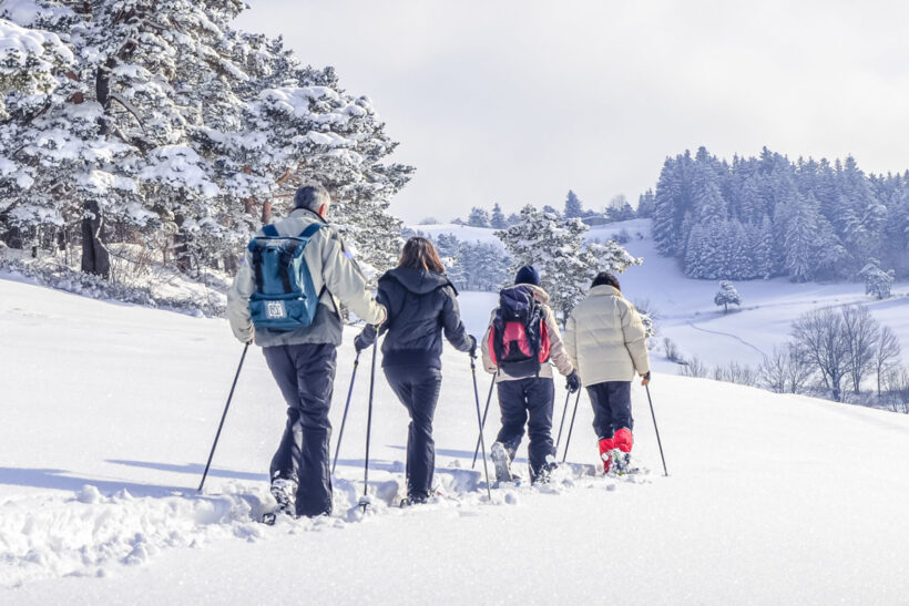 Ride and ski 5