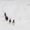 Ride and ski 6