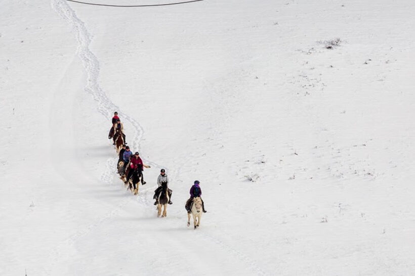 Ride and ski 6