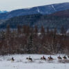 Ride and ski 9