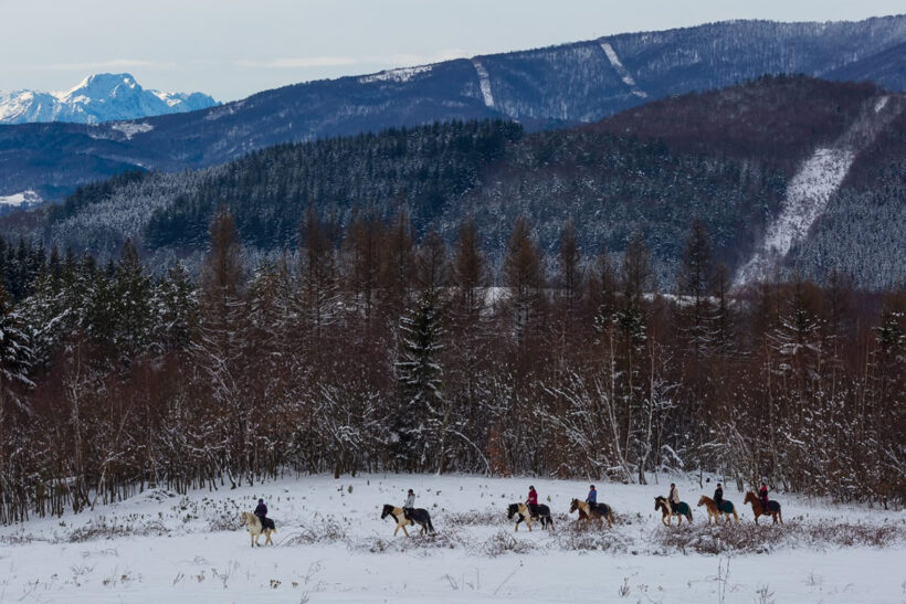 Ride and ski 9